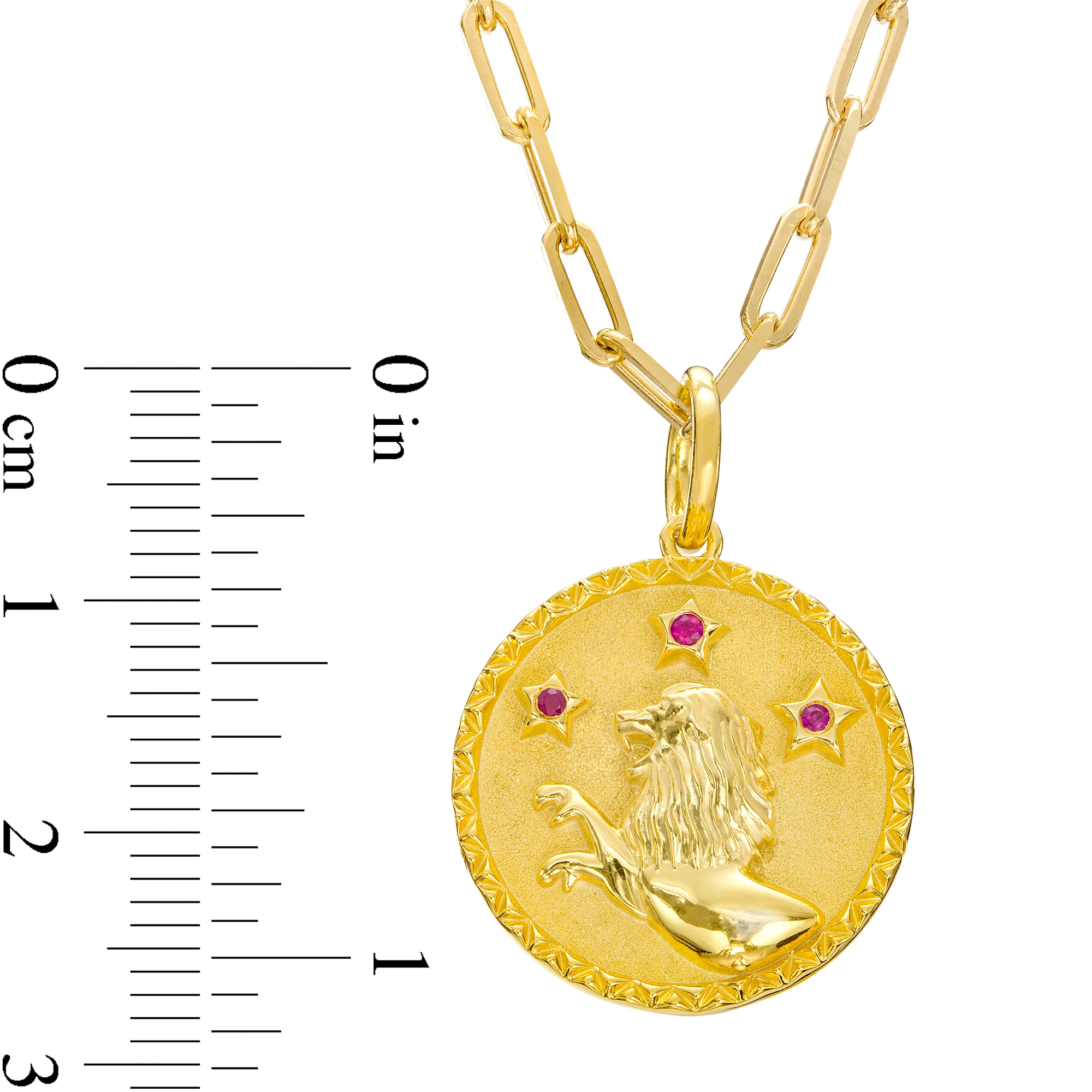 Ruby Leo Zodiac Symbol Textured Frame Medallion Pendant in